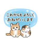 夏・毎日☆猫たちのスタンプ（個別スタンプ：11）