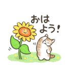 夏・毎日☆猫たちのスタンプ（個別スタンプ：13）