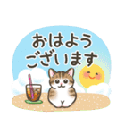 夏・毎日☆猫たちのスタンプ（個別スタンプ：14）