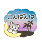 夏・毎日☆猫たちのスタンプ（個別スタンプ：16）