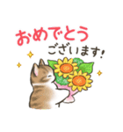 夏・毎日☆猫たちのスタンプ（個別スタンプ：19）