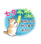 夏・毎日☆猫たちのスタンプ（個別スタンプ：23）