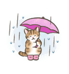 夏・毎日☆猫たちのスタンプ（個別スタンプ：27）