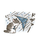 夏・毎日☆猫たちのスタンプ（個別スタンプ：28）