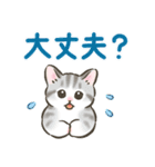 夏・毎日☆猫たちのスタンプ（個別スタンプ：31）