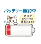 夏・毎日☆猫たちのスタンプ（個別スタンプ：32）