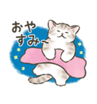 夏・毎日☆猫たちのスタンプ（個別スタンプ：37）