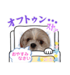 ラブラブくうちゃん（個別スタンプ：36）