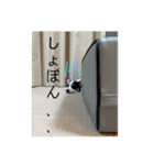 モイモーイ3（個別スタンプ：9）