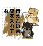 茶黒柴犬 『メッセージスタンプ』夏（個別スタンプ：19）