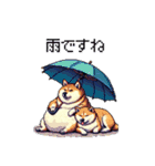 雨模様なふとっちょ柴犬 絵文字（個別スタンプ：1）