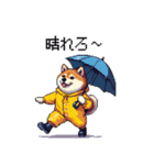 雨模様なふとっちょ柴犬 絵文字（個別スタンプ：21）