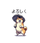 雨模様なふとっちょ柴犬 絵文字（個別スタンプ：36）