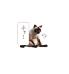 感情チェックイン2（個別スタンプ：5）