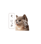 感情チェックイン2（個別スタンプ：6）