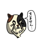 猫は目つきが悪い。（個別スタンプ：6）