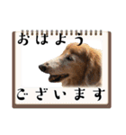 くっくのスタンプの巻（個別スタンプ：1）