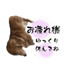 くっくのスタンプの巻（個別スタンプ：7）