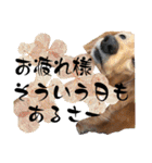 くっくのスタンプの巻（個別スタンプ：8）
