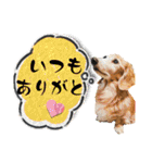 くっくのスタンプの巻（個別スタンプ：10）