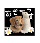 くっくのスタンプの巻（個別スタンプ：12）