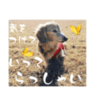 くっくのスタンプの巻（個別スタンプ：25）