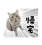 ねずみくんと愉快な仲間たち♪（個別スタンプ：1）