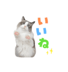 ねずみくんと愉快な仲間たち♪（個別スタンプ：7）