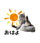 ねずみくんと愉快な仲間たち♪（個別スタンプ：8）