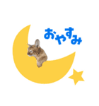 ねずみくんと愉快な仲間たち♪（個別スタンプ：9）