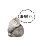 ねずみくんと愉快な仲間たち♪（個別スタンプ：10）