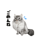 ねずみくんと愉快な仲間たち♪（個別スタンプ：12）
