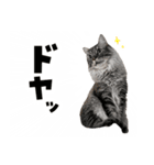 ねずみくんと愉快な仲間たち♪（個別スタンプ：13）