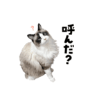 ねずみくんと愉快な仲間たち♪（個別スタンプ：15）