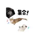 ねずみくんと愉快な仲間たち♪（個別スタンプ：16）