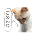 ジェフくんのスタンプ（個別スタンプ：5）