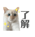 ジェフくんのスタンプ（個別スタンプ：6）