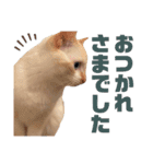 ジェフくんのスタンプ（個別スタンプ：8）