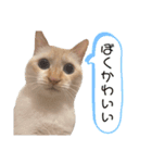 ジェフくんのスタンプ（個別スタンプ：9）