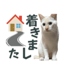 ジェフくんのスタンプ（個別スタンプ：13）