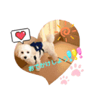 ♡LuLuちゃんスタンプ♡（個別スタンプ：21）