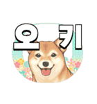 動く "ニコニコ Animals" in KOR（個別スタンプ：1）