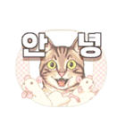 動く "ニコニコ Animals" in KOR（個別スタンプ：11）