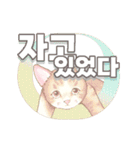 動く "ニコニコ Animals" in KOR（個別スタンプ：21）