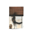 猫のみーなの日常（個別スタンプ：1）
