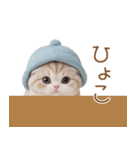 スコティッシュ猫 可愛い＆優しいスタンプ（個別スタンプ：13）