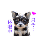 ワンワン仔犬スタンプ（個別スタンプ：40）