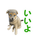 聞き上手なミックス犬（個別スタンプ：1）