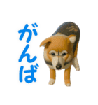 聞き上手なミックス犬（個別スタンプ：4）