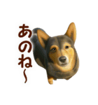 聞き上手なミックス犬（個別スタンプ：7）